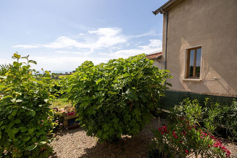 Vente Maison Maison Violay