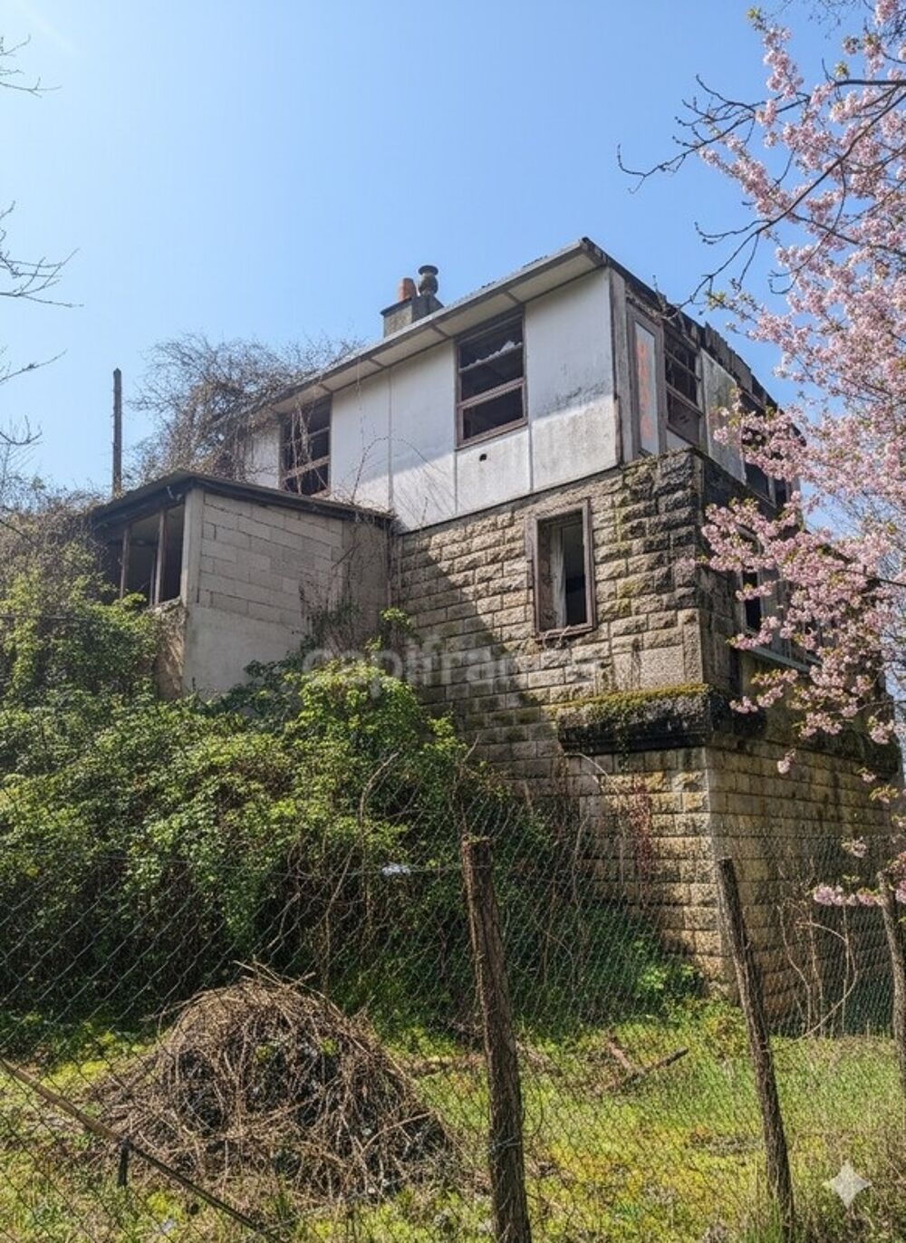 29 000 € FAI  Maison + 4500 m² de terrain à deux pas de lAbbaye de Pontigny (89)  Opportunité rare !