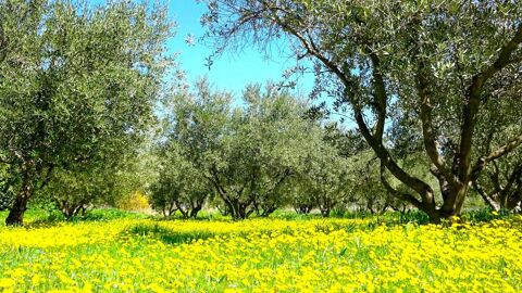  Maison � louer 3 pi�ces 80 m�