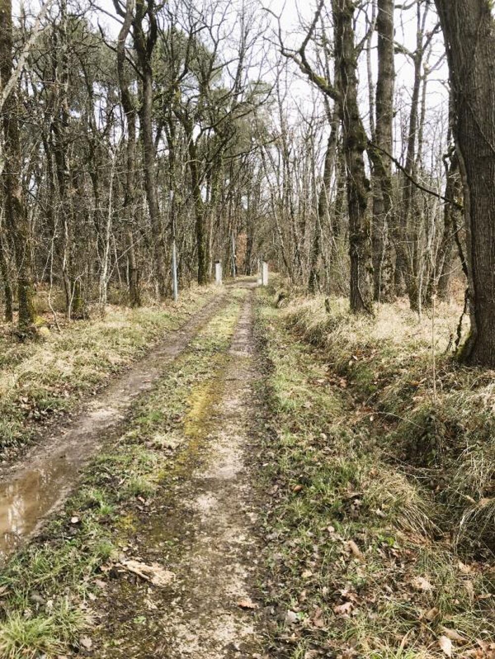 Propriété de 2 maisons, au coeur de 40 Ha de forêts et prairies