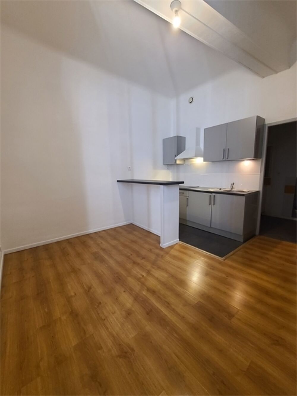Location Appartement F2 - Quartier SAINT GUILHEM Montpellier