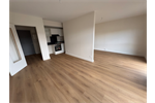  Appartement à louer 1 pièce 39 m²