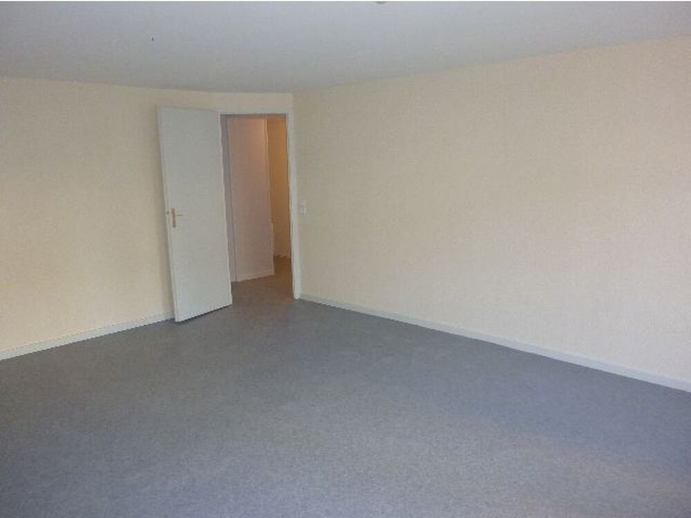 Location Appartement LOCATION SAINT NICOLAS DE PORT Centre ville Proche NANCY Saint-nicolas-de-port