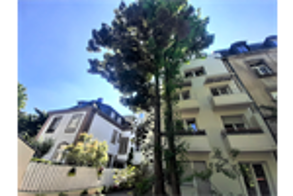 Appartement 175 M 2 / DIRECT CENTRE & GARE