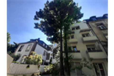  Appartement � louer 5 pi�ces 111 m�