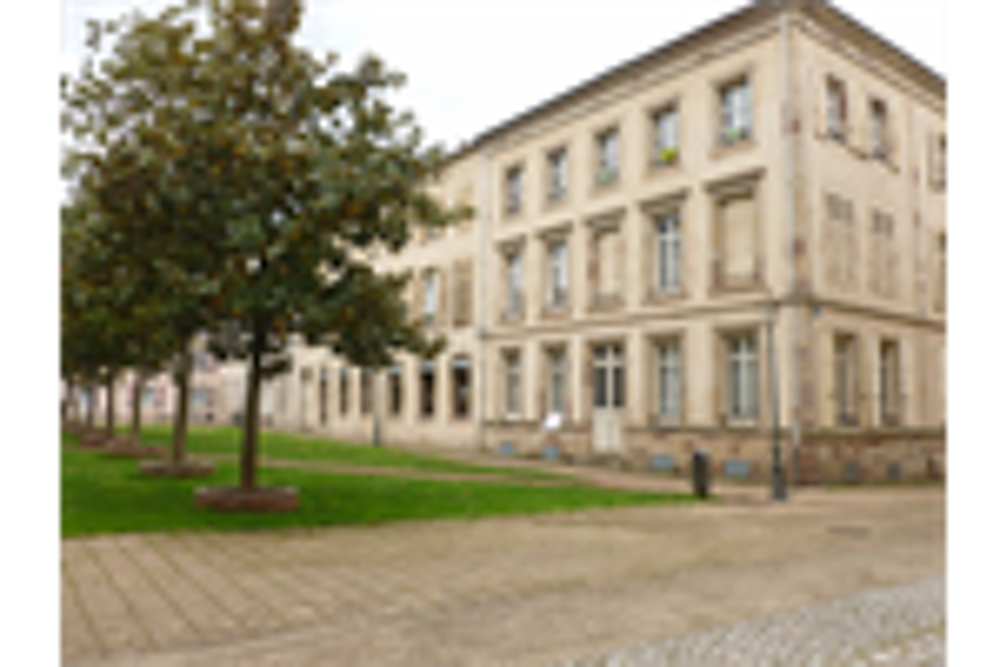 Vente Immeuble LUNEVILLE Luneville