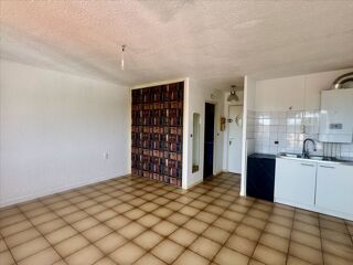  Appartement à louer 1 pièce 29 m²