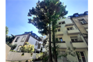  Appartement � louer 7 pi�ces 175 m� Mulhouse