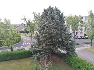  Appartement � louer 2 pi�ces 43 m�