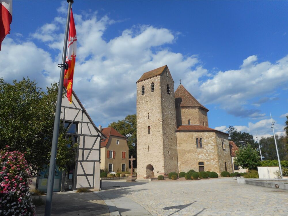 Vente Appartement OTTMARSHEIM centre Appartement F1 BIS meublé Ottmarsheim