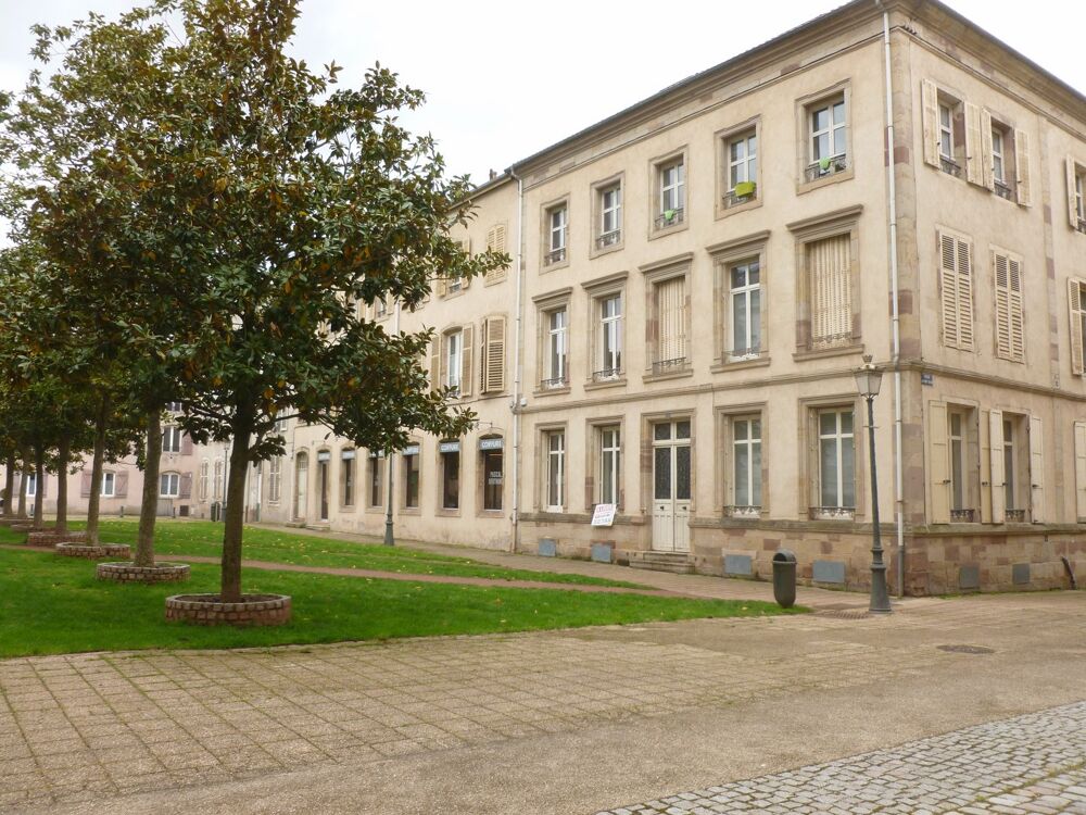 Vente Immeuble LUNEVILLE Luneville