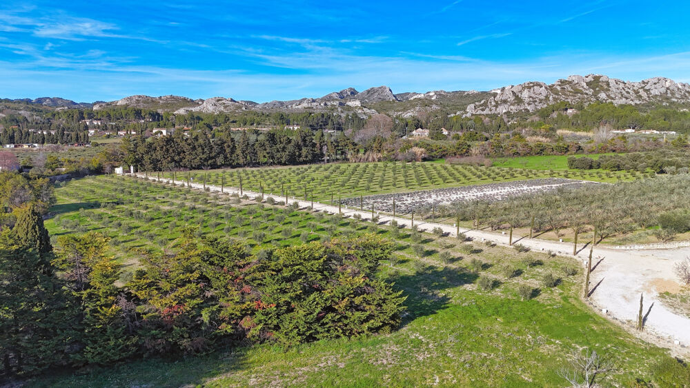 à vendre  Propriété/château Maussane-les-Alpilles (13520)