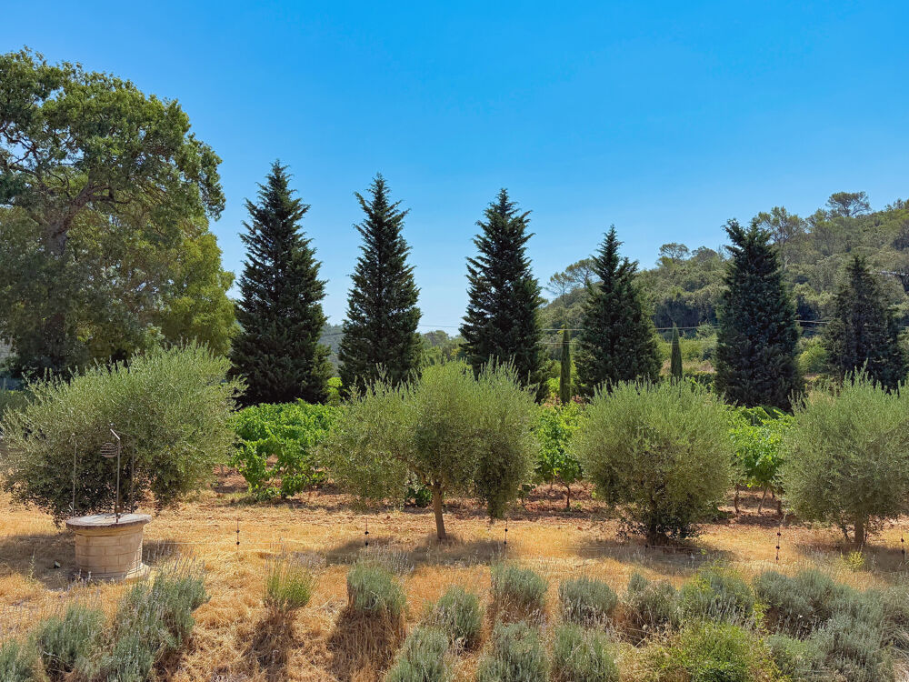 à vendre  Propriété/château Cabasse (83340)