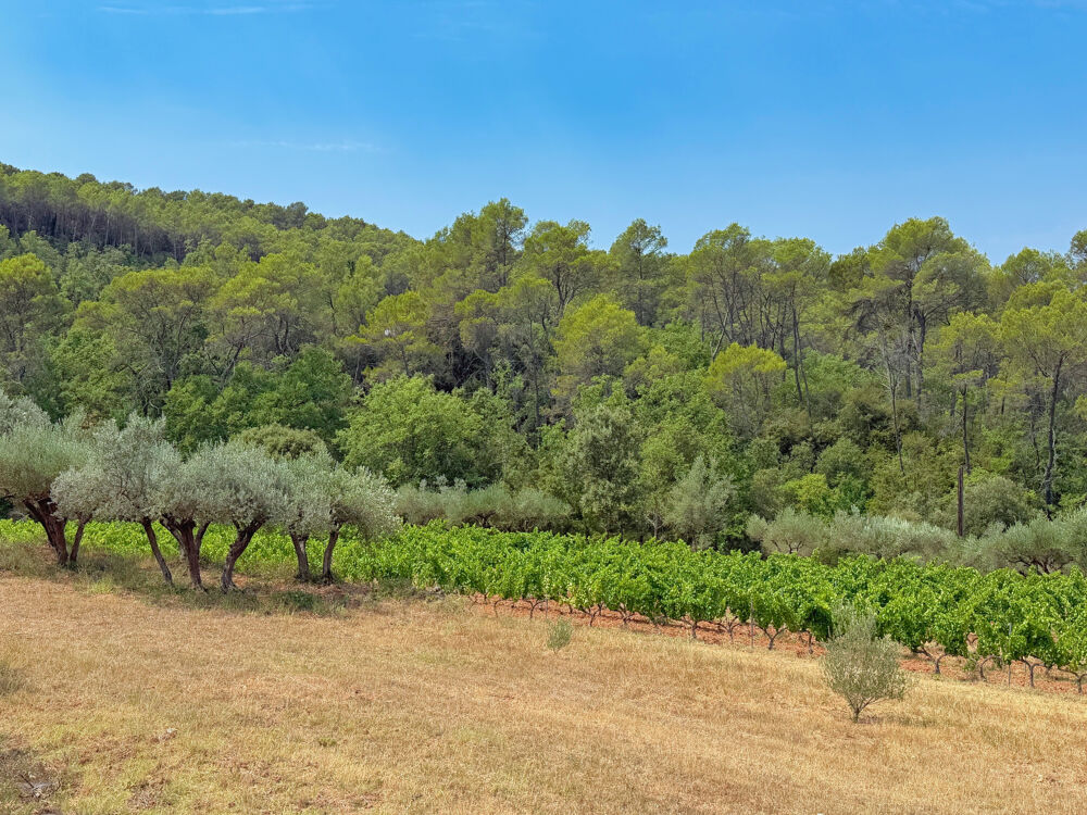 à vendre  Propriété/château Lorgues (83510)