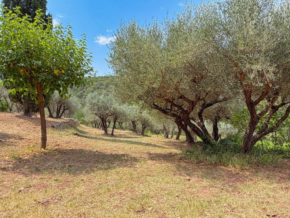 à vendre  Propriété/château Lorgues (83510)