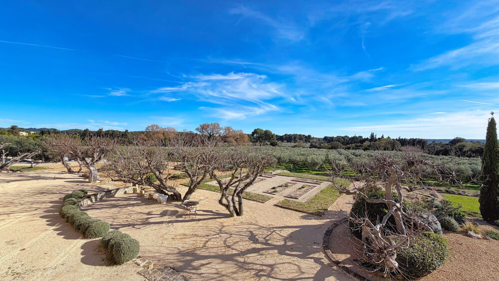 à vendre  Propriété/château Maussane-les-Alpilles (13520)