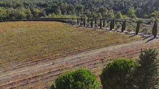  Propri�t�/ch�teau � vendre 10 pi�ces 293 m�