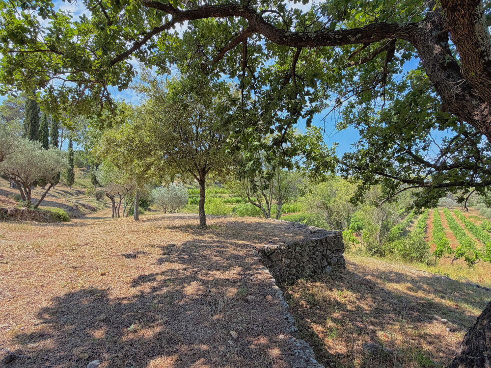 à vendre  Propriété/château Lorgues (83510)