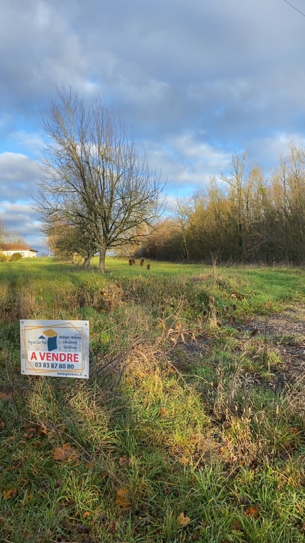 Vente Terrain TERRAIN A BATIR Beaumont