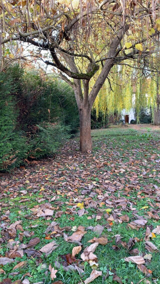  Maison � vendre 2 pi�ces 149 m�