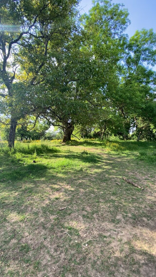  Terrain  vendre 2958 m