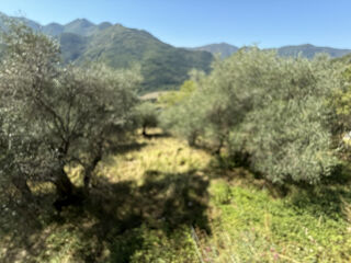  Maison  vendre 6 pices 265 m