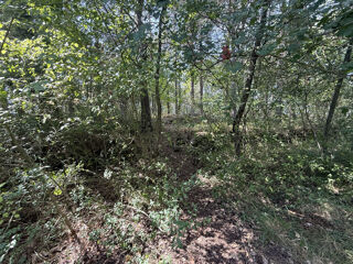  Terrain � vendre 2926 m�