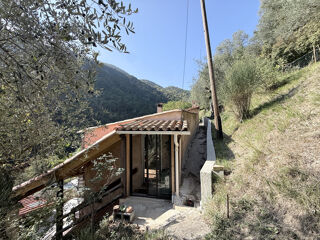 Vente Maison Vaste propriété de plus d'un hectare, entre oliviers centenaires et arbres fruitiers Castillon