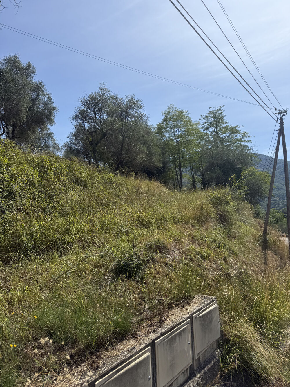 Vente Terrain Superbe terrain plein sud complanté d'oliviers avec accès voiture Sospel