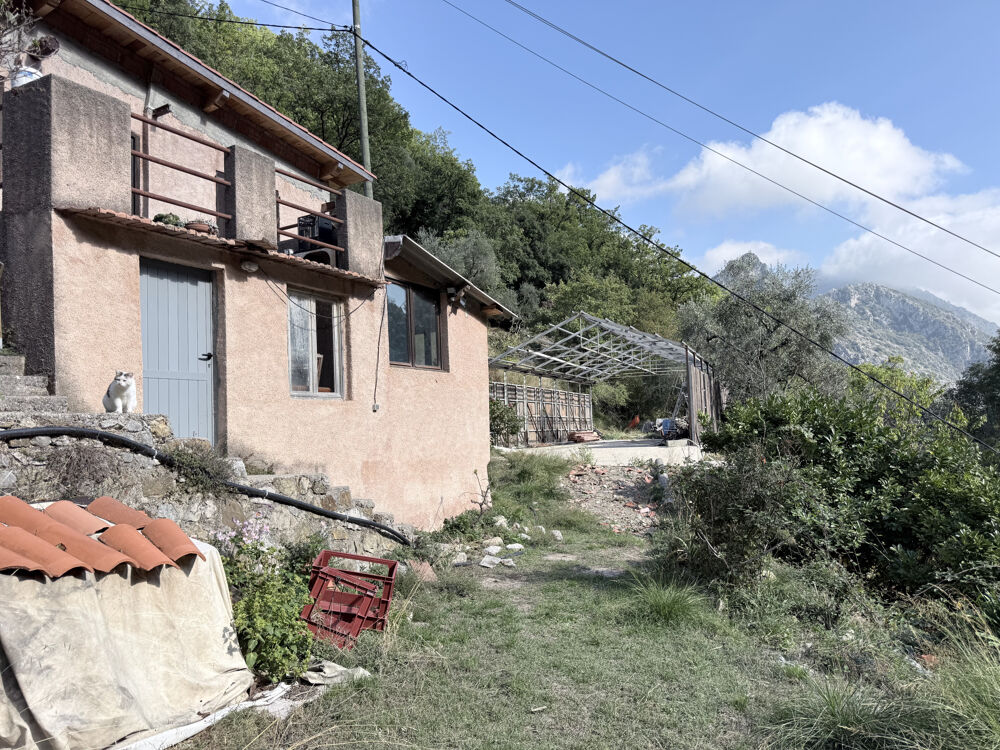 Vente Maison Vaste propriété de plus d'un hectare, entre oliviers centenaires et arbres fruitiers Castillon