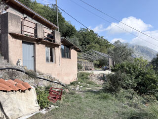 Vente Maison Vaste propriété de plus d'un hectare, entre oliviers centenaires et arbres fruitiers Castillon