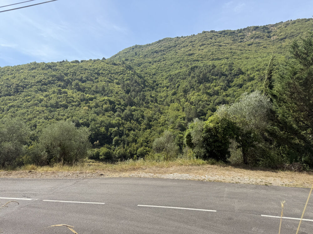 Vente Terrain Superbe terrain plein sud complanté d'oliviers avec accès voiture Sospel