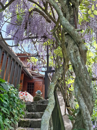  Maison � vendre 3 pi�ces 43 m�