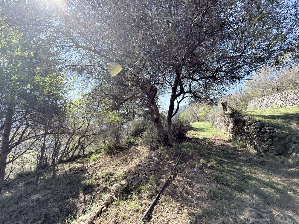 Propriété dexception au coeur de la nature
