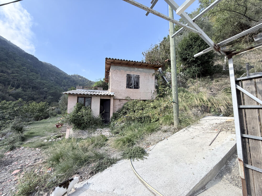 Vente Maison Vaste propriété de plus d'un hectare, entre oliviers centenaires et arbres fruitiers Castillon