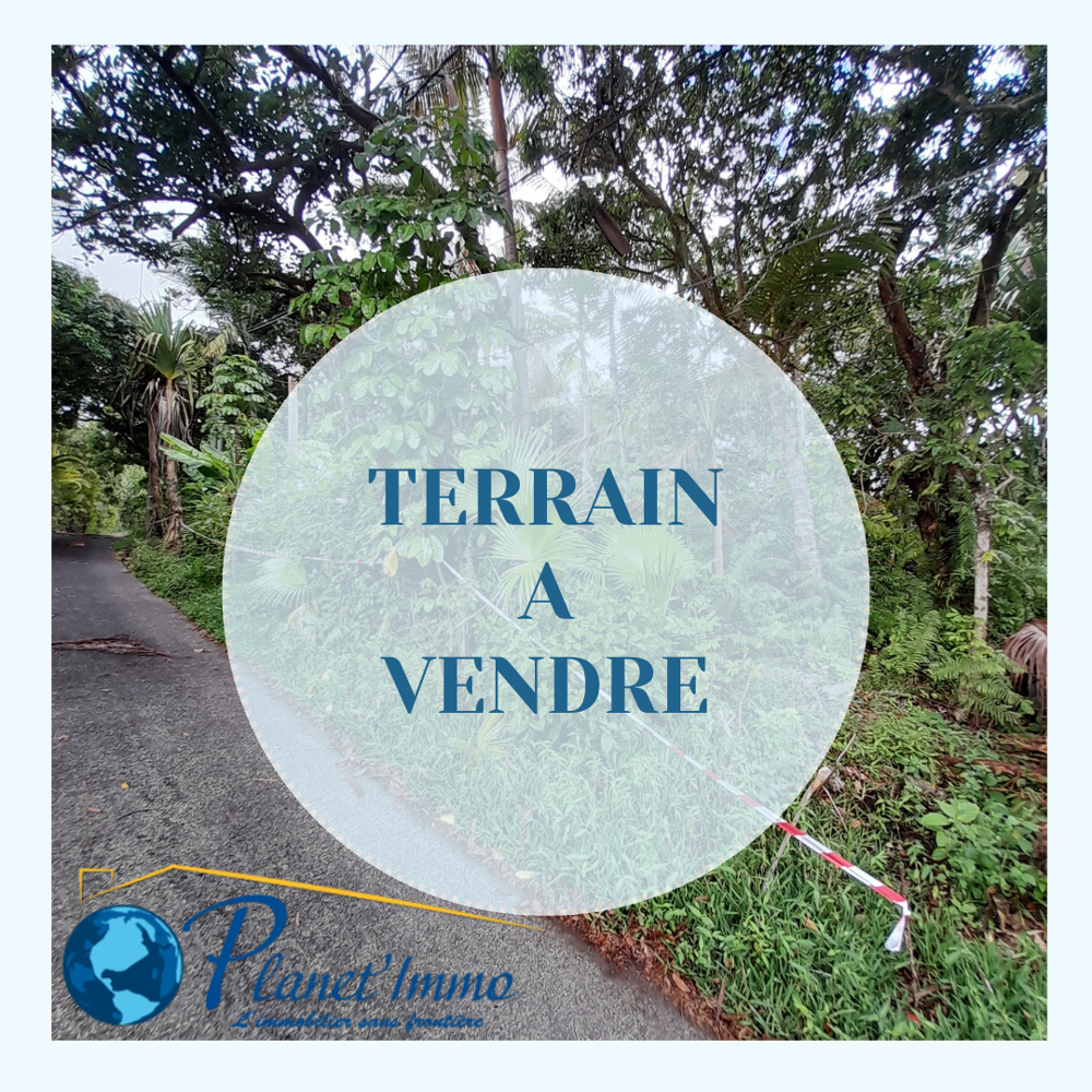Vente Terrain Terrain 400m2 à vendre sur la Crête à Vincendo St joseph