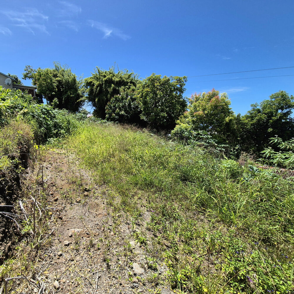 Vente Terrain SAINT-JOSEPH/ 437m2 Superbe terrain vue panoramique sur la mer St joseph
