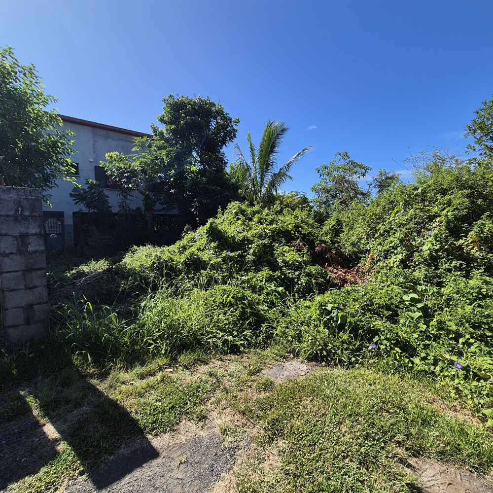 Vente Terrain SAINT-JOSEPH/SECTEUR LES JACQUES VUE MER 489m2 St joseph