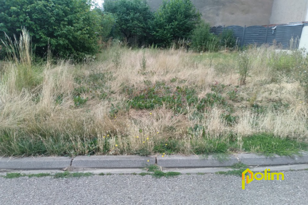 Vente Terrain beau terrain à bâtir, 3A 80CA, plat , façade 20 m Leyr