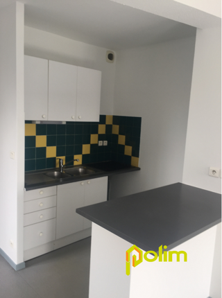  Appartement à louer 1 pièce 44 m²