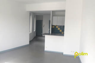  Appartement à louer 1 pièce 44 m²