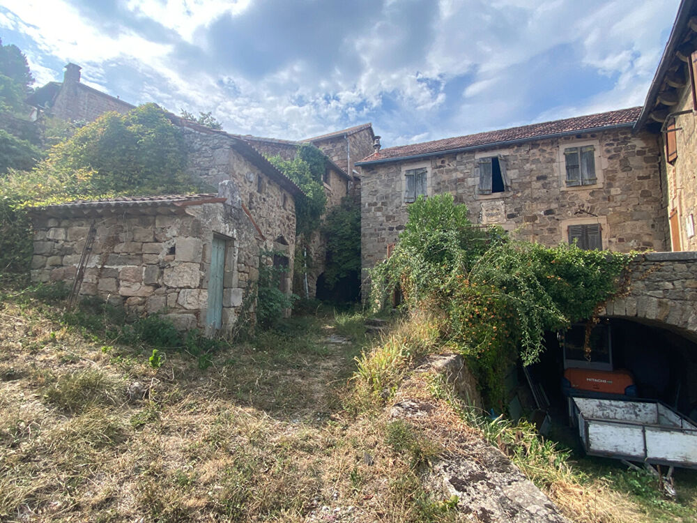 Vente Maison Maison en pierres à rénover Saint-pierre-saint-jean