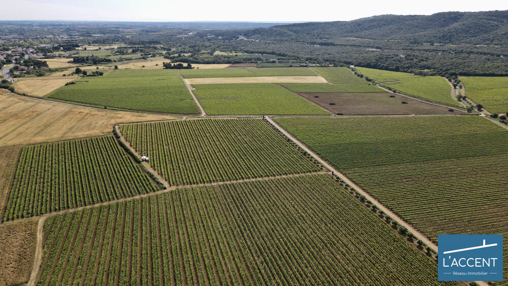 � vendre  Propri�t�/ch�teau Montpellier (34000)