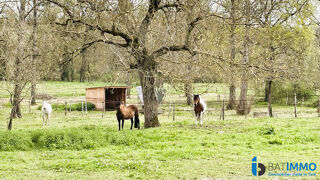  Maison  vendre 6 pices 180 m