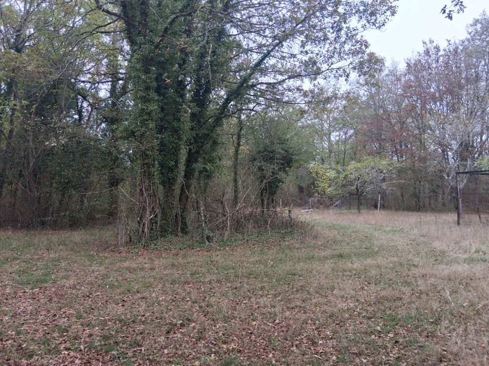 Vente Maison Maison type 'pavillon de chasse' - Bois 6 ha avec point d'ea Boismorand