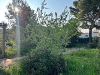  Terrain  vendre 1304 m