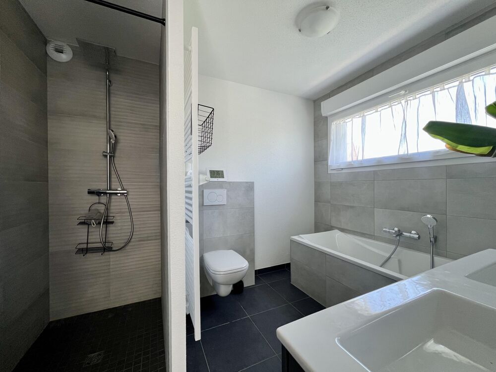 � vendre  Maison H�singue (68220)