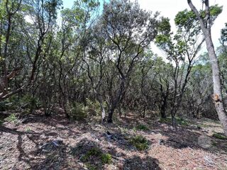  Terrain � vendre 25956 m�