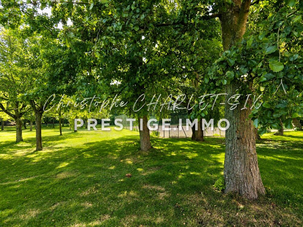 à vendre  Maison Wambrechies (59118)