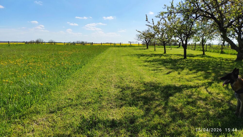 Vente Terrain Très joli terrain plat constructible. Sainte-menehould